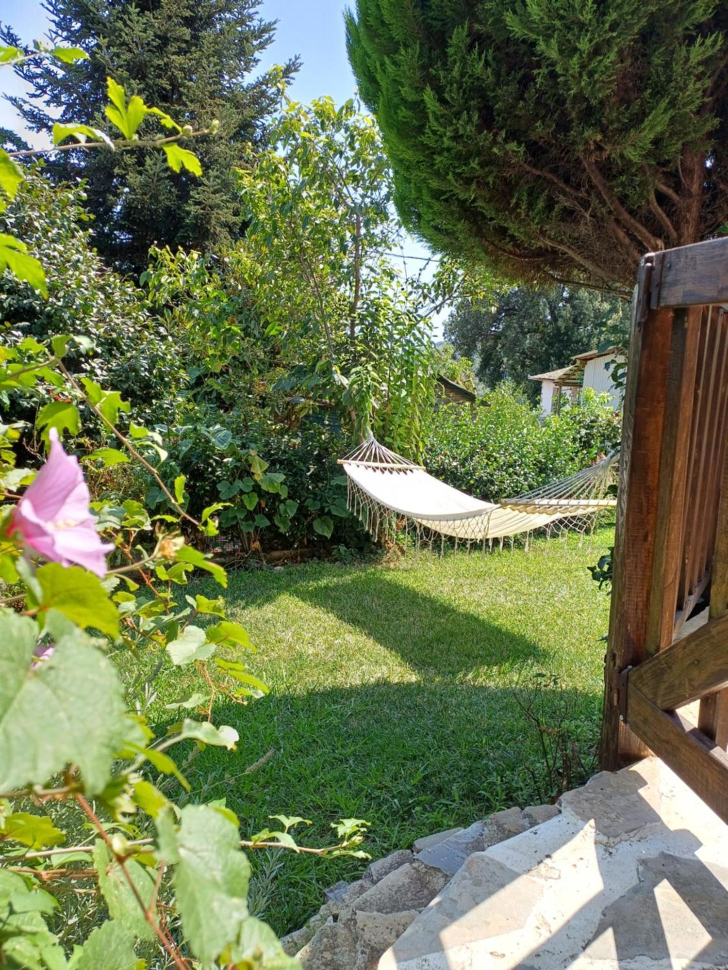 Efi'S Guest House Áyios Dhimítrios Eksteriør bilde